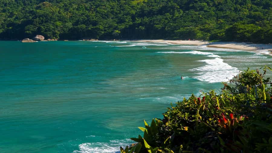Trindade Day Trip: Nature and Sea Adventure from Paraty - Is $107 a fair price?