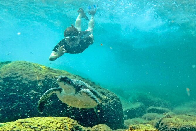Turtle Snorkeling by Adrenailha - What the snorkeling feels like