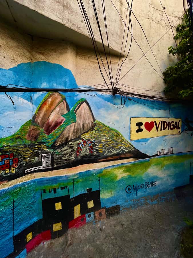 Vidigal Favela Tour - Key Points About the Vidigal Experience