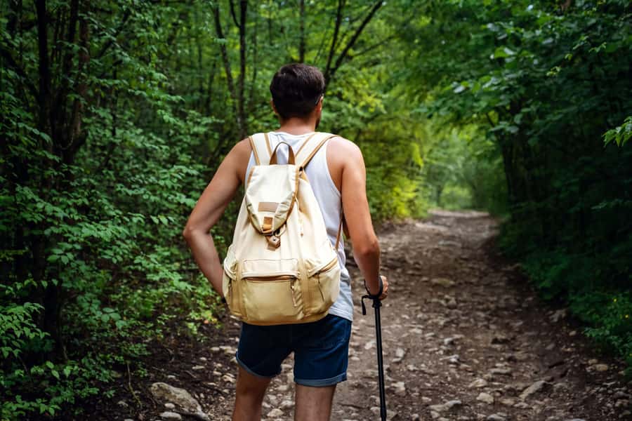 Walk to the Big Rock in Cantareira State Park - Walking the forest trail toward Pedra Grande