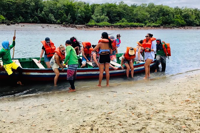 West Coast Tour / Tatajuba - The dry mangrove and the first look at local nature