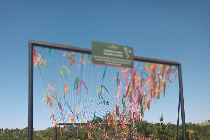 Wine Tour in São Roque by Car, Tour with Local Guides - A private car changes the whole day