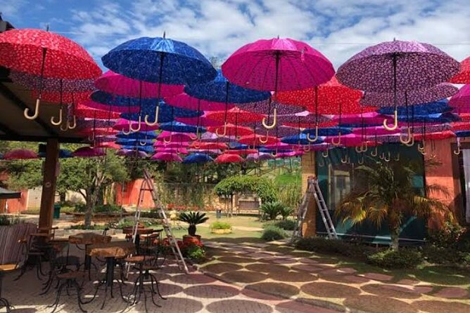 Wine Tour in São Roque by Car, Tour with Local Guides - Breakfast starts the six-hour schedule